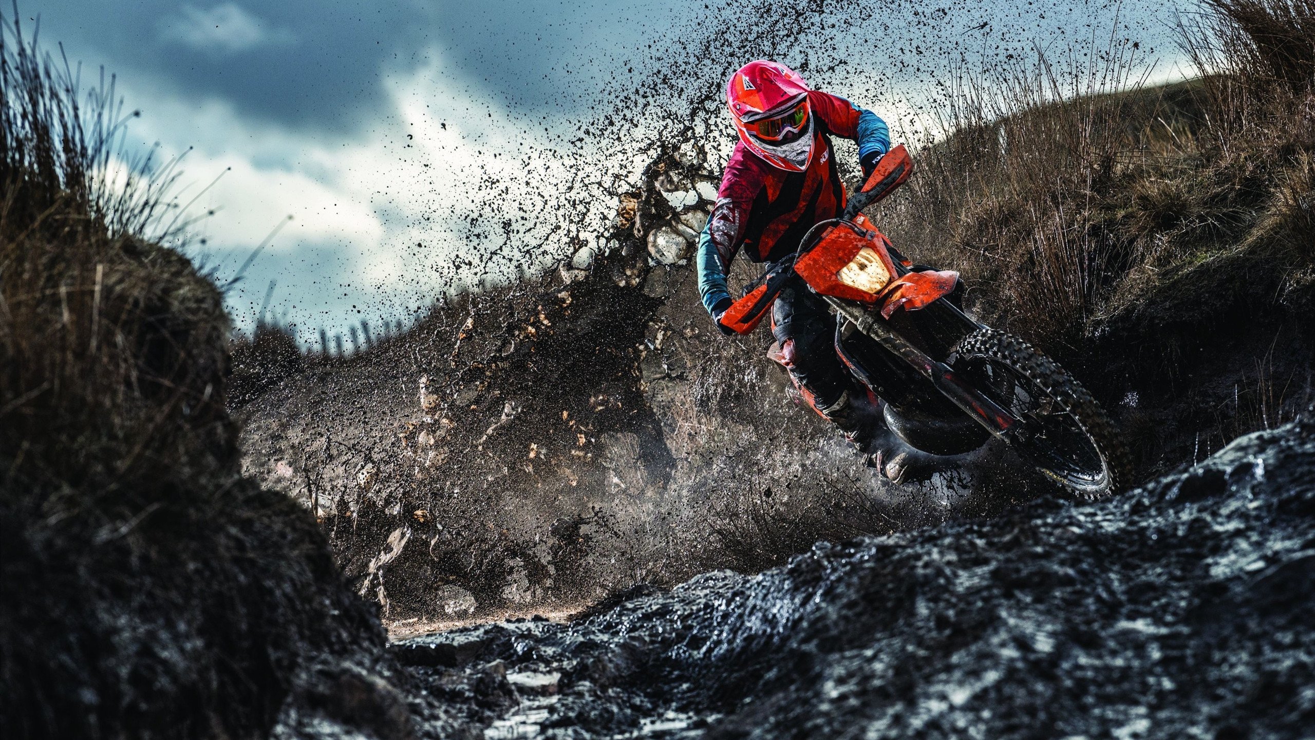 WRC粉丝狂欢：现场氛围与观赛体验，crew粉丝